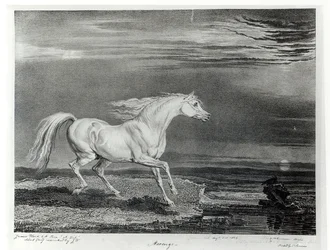Marengo, graviert vom Künstler, veröffentlicht von R. Ackermann, 1824